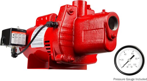 Bomba Red Lion 0.5 HP - Image 3