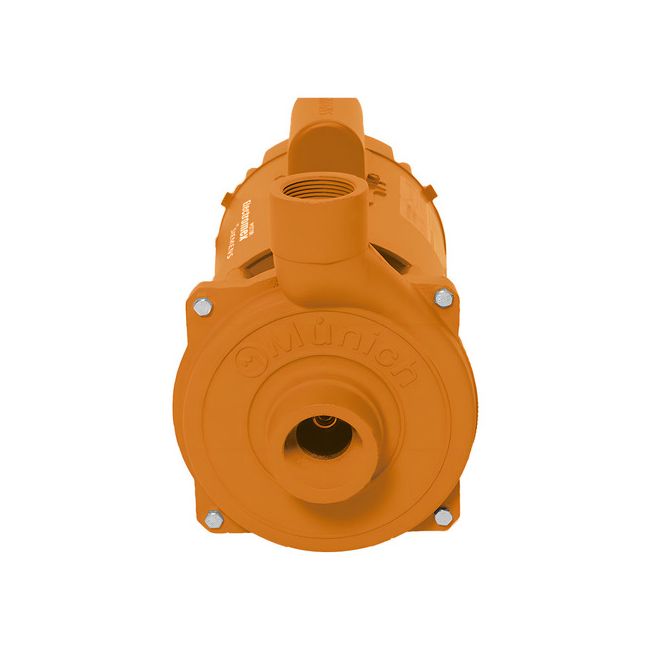 Bomba Centrífuga Munich 2 HP - Image 2